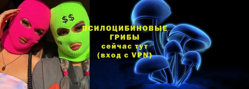 купить наркоту  Еманжелинск  Галлюциногенные грибы Cubensis 